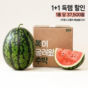 (1+1 DO드림 프로모션)  총각네 음성 수박 9kg 내외 (12brix 이상)