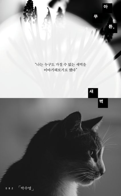 아무튼, 새벽 