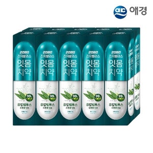 [2080] 2080 진지발리스 유칼립투스 치약 150g 10개입 (후레쉬민트/스트롱민트 택1)
