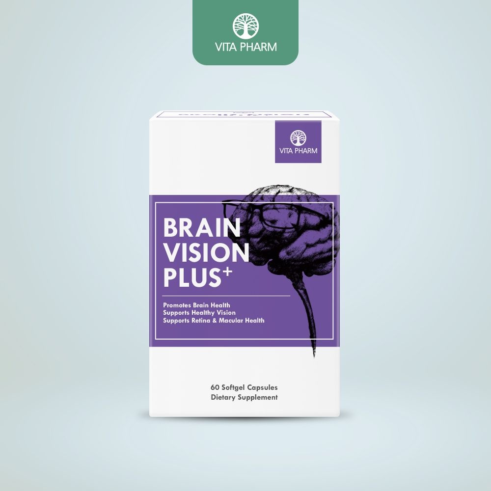 비전 브레인 플러스(Vision Brain+)(전량수출용)