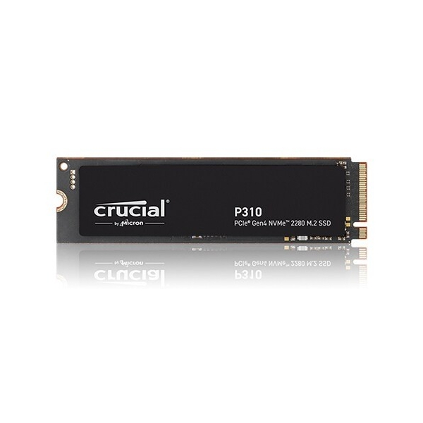 마이크론 크루셜 Crucial P310 M.2 NVMe 아스크텍, 500GB