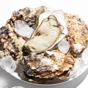 [삼삼해물] 거제도 프리미엄 왕굴(개체굴) 1kg