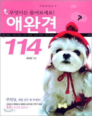 (무엇이든 물어보세요!)애완견 114