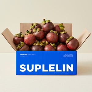 [수플린] 몽글몽글 새콤달콤한 태국 망고스틴 (1kg (500g*2입))