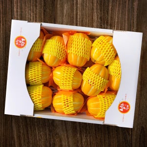 [성주참외농장] 성주초전참외 5kg(10-22과)