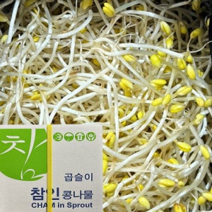 [다봄푸드] 곱슬이 콩나물 3.5kg (±200g)