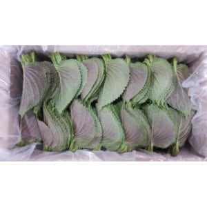 [다봄푸드] 깻잎 1kg (찹찹이,국내산)BOX
