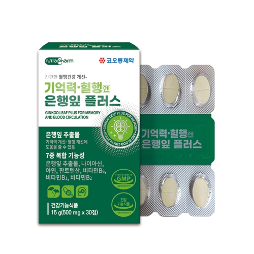 기억력엔 은행잎 플러스