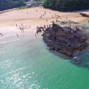 대마도 당일치기 노바호 히타왕복 중식제공 밸류마트 패키지 여행 하나투어 노바 6월09일출발