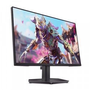 DELL SE2426HG
