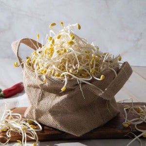 [롯데백화점] 자연과순수 국산 콩나물 무농약 Non-GMO 친환경 지하암반수로 키운 콩나물 3kg LE1221776872