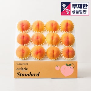 여름제철 꿀과즙 물복 황도복숭아 1.5/3kg