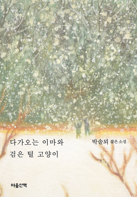 다가오는이마와검은털고양이