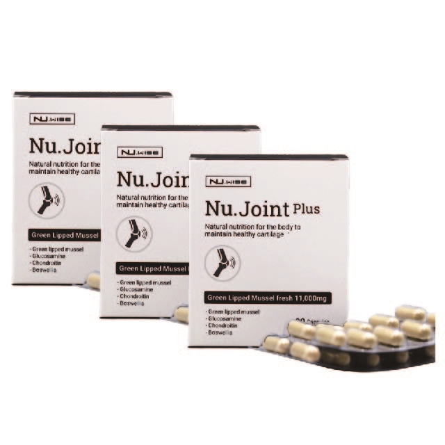 뉴와이즈 초록입홍합 글루코사민 콘드로이친 11400mg 90정 뉴질랜드 뉴와이즈 3개