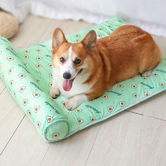 고양이 강아지 쿨 매트 애견 반려동물 쿨 매트 여름 방석