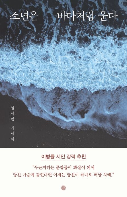 소년은바다처럼운다