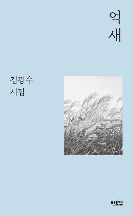 억새