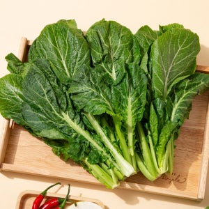 [미식한가] 제철맞이 여수 돌산갓 생갓 5kg