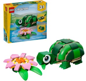 31377 거북이