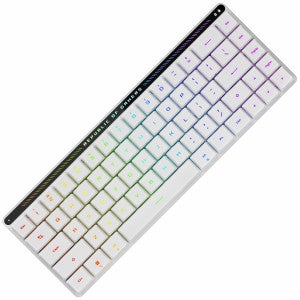 ASUS ROG FALCHION RX Low Profile 유무선 기계식 한글 (적축)