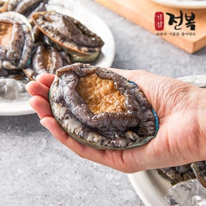 기삼전복 특허받은 전복 10미 1kg
