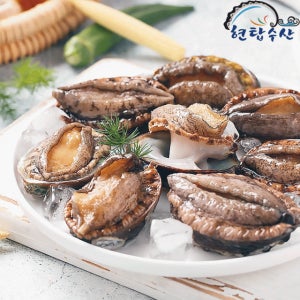 [해수부 18,560원]현탑수산 완도 왕특대 활전복 10미 1kg 외