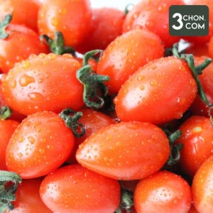 [삼촌밥먹자] 한입에 쏙 대추 방울토마토 1.5kg(2팩)