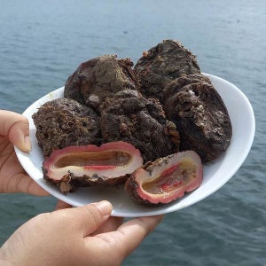 [물맛남] 횟감용 통영 돌멍게 2kg 10-16미