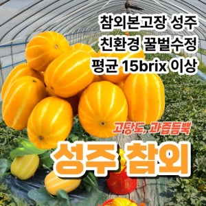 가정용 고당도 꿀 성주참외 1kg,2kg,3kg,5kg,10kg
