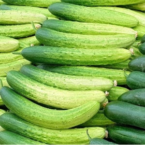 백오이 백다대기오이 1kg