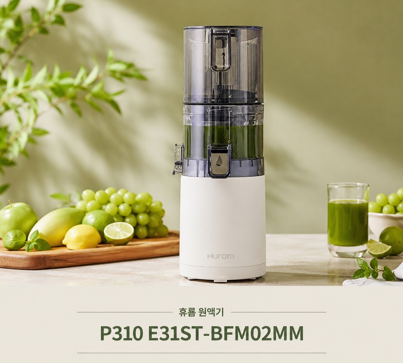 휴롬 휴롬 원액기 P310 E31EST-BFM02MM