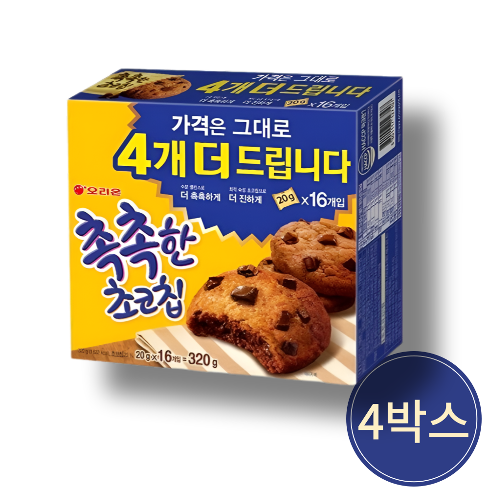 진하고 촉촉한 초코칩