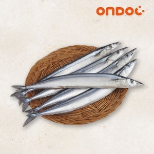[온도씨]바로 구워먹는 구이용 꽁치 1kg(8-10미)