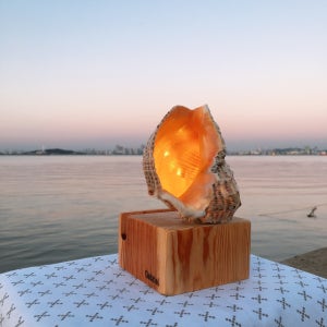[감성선물] ✨소라 스피커 무드등 ✨ 커플, Hand Made. UJ