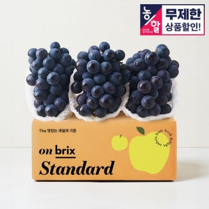 [농할 25%쿠폰] 탱글한 과육에 가득 찬 과즙, 거봉 포도 600g / 1.2kg / 1.8kg