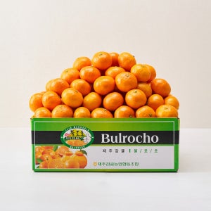 [새벽에On] 16년 연속 브랜드 대상, 불로초 하우스 감귤 2.5kg / 4.5kg (12.5brix/특품)