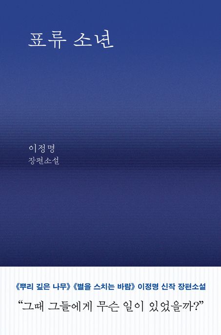 표류 소년 : 이정명 장편소설 표지