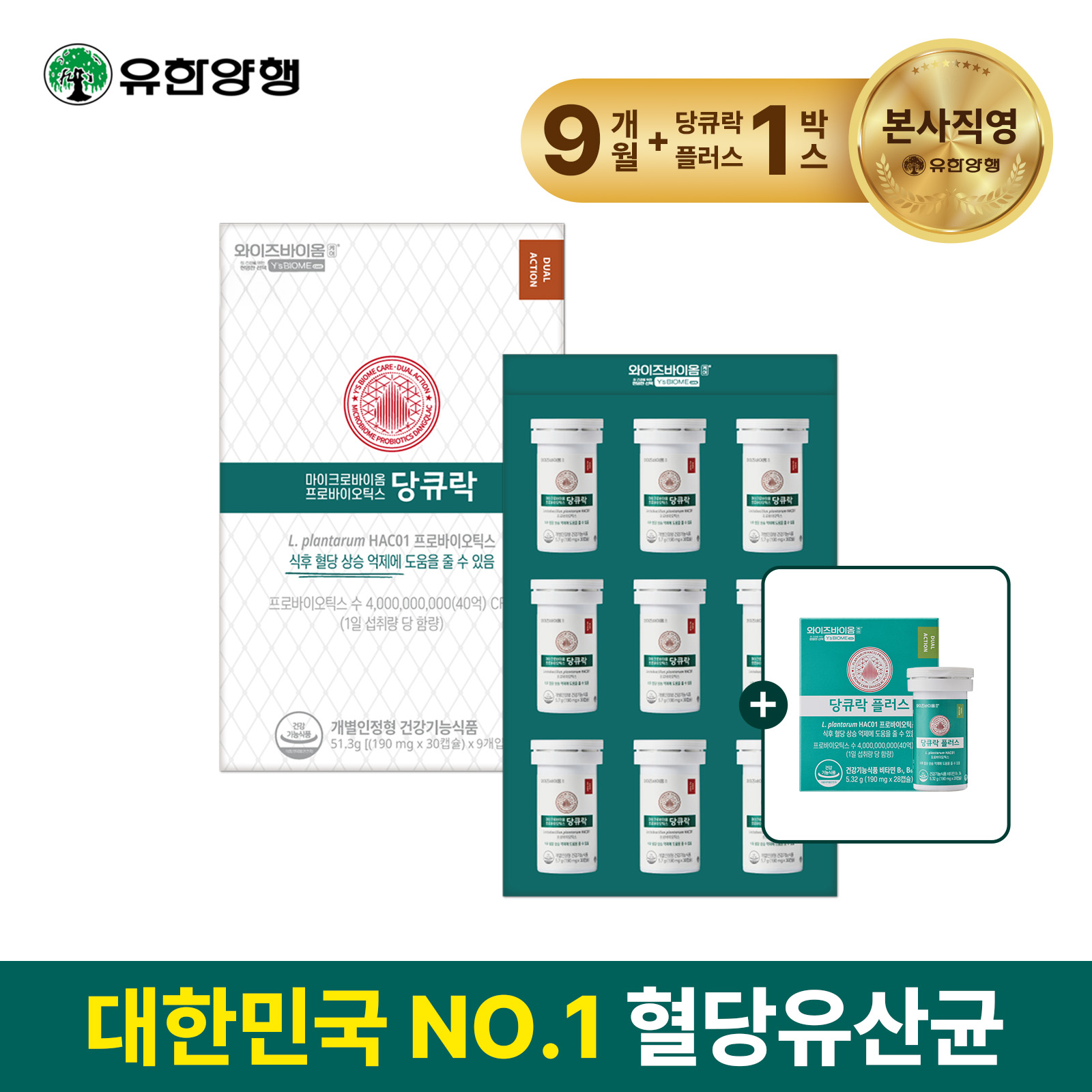 당큐락 플러스