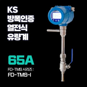 [후로우디지탈] KS방폭인증 FD-TMS-I 65A 인서션 타입 열전식 질량 유량계(에어,가스전용)RS485/4-20mA/펄스기본