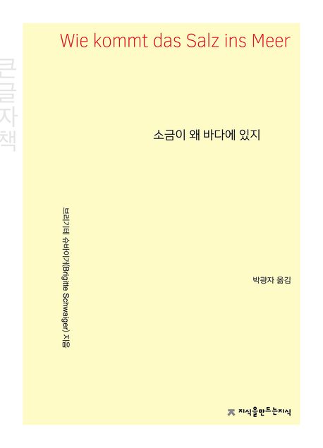 소금이 왜 바다에 있지 : 큰글자책
