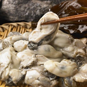 당일작업 통영직송 신선한 생굴 1kg