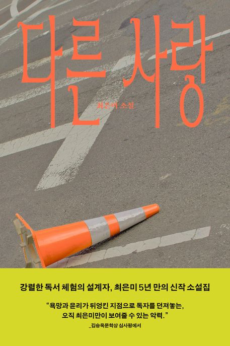 다른 사랑 표지