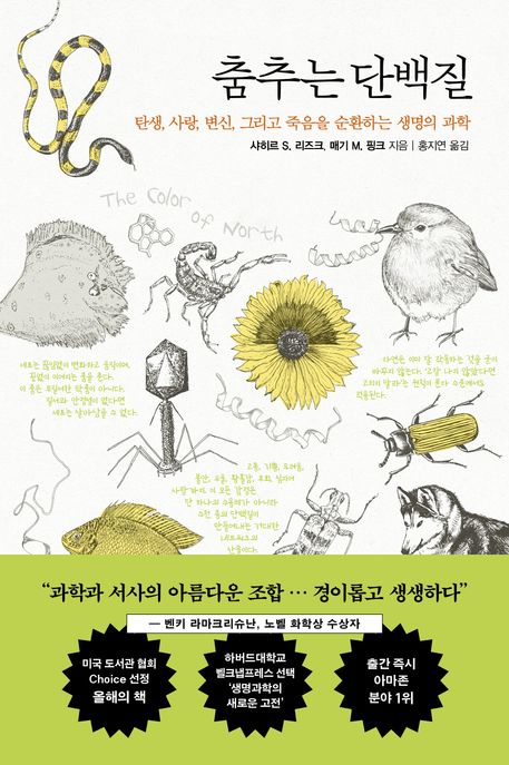춤추는 단백질: 탄생, 사랑, 변신, 그리고 죽음을 순환하는 생명의 과학