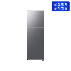 삼성 일반 냉장고 RT31CG5624S9 298L