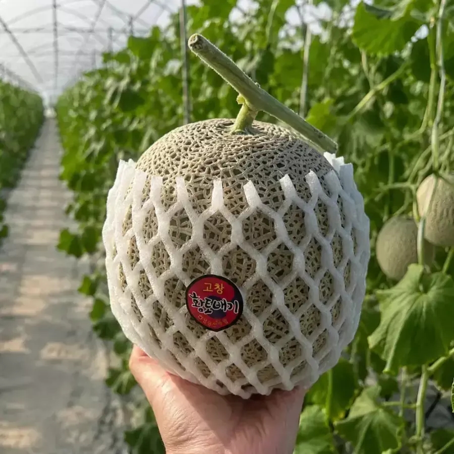 17브릭스이상 머스크멜론 특품2수 4kg (티멤버십19,990) (무배)