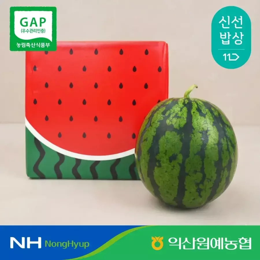 비파괴 당도선별 고당도 꿀수박 8kg (21,760원) (무료)