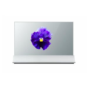 OLED TV 투명 OLED 스크린 30인치 OLED 모니터