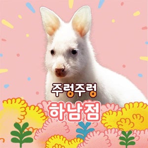 [경기]주렁주렁 실내 동물원 하남점