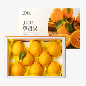 제주 한라봉 2kg 선물세트 외 골라담기 명절 선물용