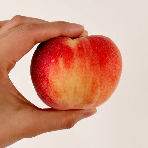 딱 15일만 맛볼 수 있는 대극천 (반납작) 복숭아 1kg(14입 중소과)